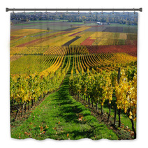 Vineyards In Autumn Colours The Rhine Valley Germany Bath Decor 46267041