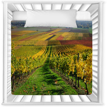 Vineyards In Autumn Colours The Rhine Valley Germany Nursery Decor 46267041