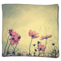Vintage Cosmos Flowers In Sunset Time Blankets 60495669