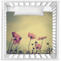 Vintage Cosmos Flowers In Sunset Time Nursery Decor 60495669