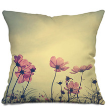 Vintage Cosmos Flowers In Sunset Time Pillows 60495669