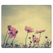 Vintage Cosmos Flowers In Sunset Time Rugs 60495669