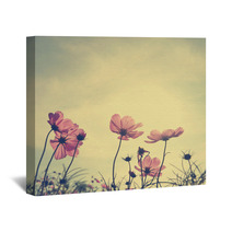 Vintage Cosmos Flowers In Sunset Time Wall Art 60495669