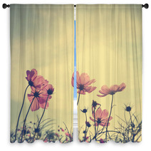 Vintage Cosmos Flowers In Sunset Time Window Curtains 60495669
