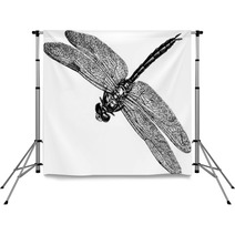 Vintage Graphic Insect Dragonfly Backdrops 71702955