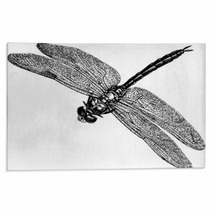 Vintage Graphic Insect Dragonfly Rugs 71702955