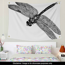 Vintage Graphic Insect Dragonfly Wall Art 71702955