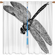 Vintage Graphic Insect Dragonfly Window Curtains 71702955