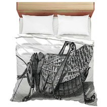 Vintage Graphic Insect Grasshopper Bedding 71702954