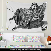 Vintage Graphic Insect Grasshopper Wall Art 71702954