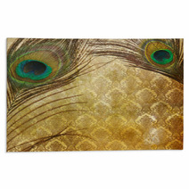 Vintage Grunge Peacock Feather Rugs 52357054