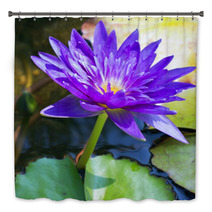 Violet Water Lily Lotus Flowers In The Pool Bath Decor 59383512