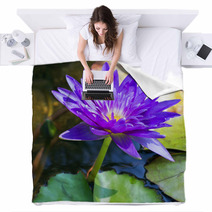 Violet Water Lily Lotus Flowers In The Pool Blankets 59383512