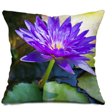 Violet Water Lily Lotus Flowers In The Pool Pillows 59383512