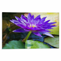 Violet Water Lily Lotus Flowers In The Pool Rugs 59383512