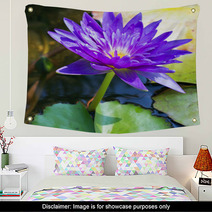 Violet Water Lily Lotus Flowers In The Pool Wall Art 59383512