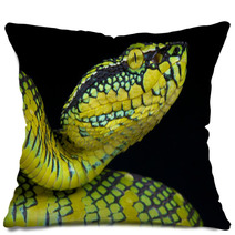 Wagler's Pit Viper / Tropidolaemus Wagleri Pillows 67957554