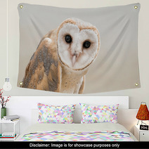 Owl Wall Art 103314895