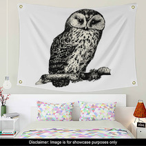 Owl Wall Art 125298162