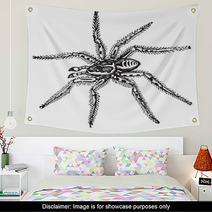 Spider Wall Art 39065839