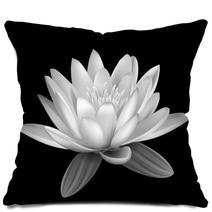 Water Lily Black And White Pillows 52604392