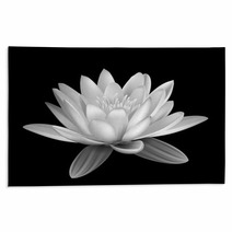 Water Lily Black And White Rugs 52604392