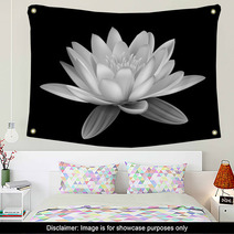 Water Lily Black And White Wall Art 52604392