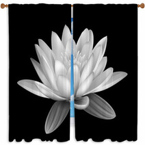 Water Lily Black And White Window Curtains 52604392