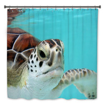 Water Turtle Bath Decor 3040978