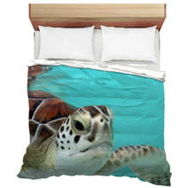 Water Turtle Bedding 3040978