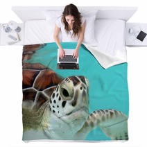 Water Turtle Blankets 3040978