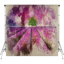 Watercolour Painting Of Stunning Lavender Field Landscape Summer Sunset With Single Tree On Horizon Backdrops 253554320