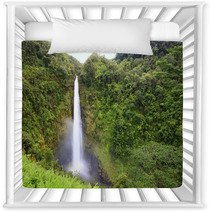 Waterfall  Akaka Falls Hawaii Nursery Decor 48059126