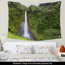 Waterfall  Akaka Falls Hawaii Wall Art 48059126