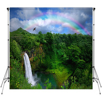 Waterfall In Kauai With Rainbow And Bird Overhead Backdrops 10075690