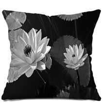 Waterlily Pillows 29965082
