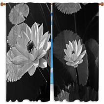 Waterlily Window Curtains 29965082