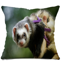 Weasel on hands Pillows 99449089