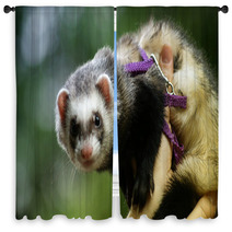 Weasel on hands Window Curtains 99449089