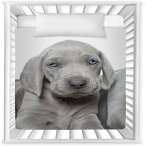 Weimaraner Puppy Nursery Decor 51946560