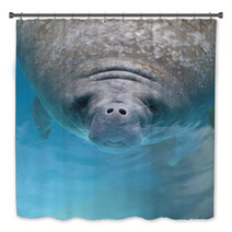 West Indian Manatee Swimming Near The Surface Of Water Bath Decor 62373812