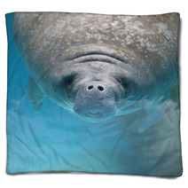 West Indian Manatee Swimming Near The Surface Of Water Blankets 62373812