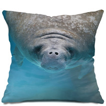 West Indian Manatee Swimming Near The Surface Of Water Pillows 62373812