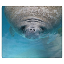 West Indian Manatee Swimming Near The Surface Of Water Rugs 62373812