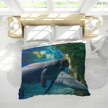 West Indian Manatees Bedding 89995229