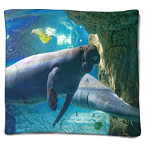 West Indian Manatees Blankets 89995229