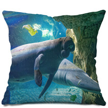 West Indian Manatees Pillows 89995229