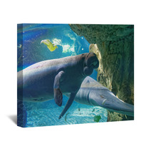West Indian Manatees Wall Art 89995229