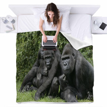 Western Lowland Gorilla Gorilla Gorilla Blankets 59828635