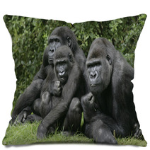 Western Lowland Gorilla Gorilla Gorilla Pillows 59828635